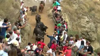 ENCIERRO DE FALCES 23 08 15