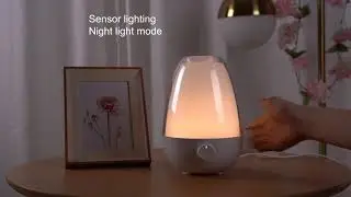 New Design Smart Aroma Diffuser Cool Mist Water Based Ultrasonic Air Humidifier for Bedroom