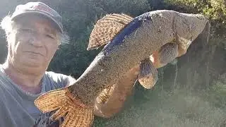 Pescaria No Banhadão #pesca
