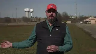 Are there Extension Tools Available to Help with Wheat Management?