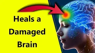 BAD NEWS for Harmful Mutated Cells in the Brain (Healing EMDR 40Hz QT4 Audio Formula)