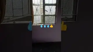## bonda bandi💧💧💧❤️