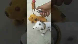 RC remote control puppy wow  cute toy testing