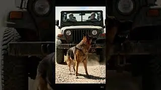 Military K9 Saves Soldiers from Rockslide, Marine Team #dog #saves