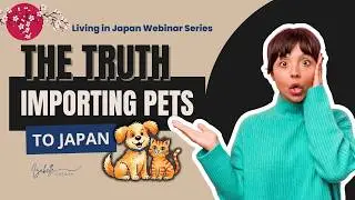 Importing Pets to Japan: Step-by-Step Guide for Bringing Cats and Dogs to Japan