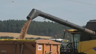 Harvesting Wheat with New Holland CX 780 - with Cab Ride!