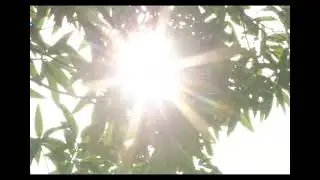 bài hđtn | Bà My chen nồ |