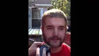 Pirate beard
