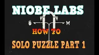 SOLO NIOBE LABS PUZZLE FIRST STEP