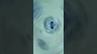 El Pez de Hielo!