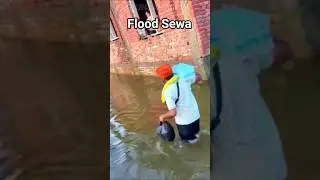 Flood Sewa Punjab | Satluj Flood Sewa | Beas Flood Langer Sewa #flood #langarsewa #floodsewa #punjab