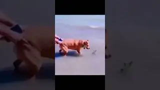 Những clip triệu view thú cưng 1 #pets #shorts #thucung