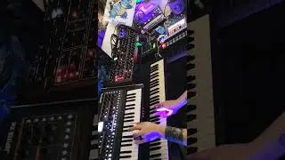 Digital analog beats. Gothic sounding leads #synthwave #sequential #prophetrev2 #roland #jupiterxm