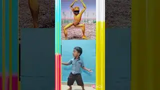 #patila #dance #music #instrumental #entertainment
