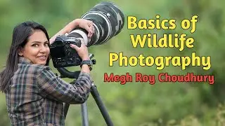 How to be a Good Wildlife Photographer | Megh Roy Choudhury | Tips and Tricks | Only Green