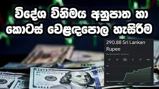 Exchange rates and stock Market Sinhala