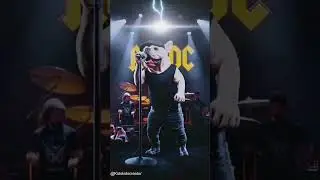&ldquo;Dog Band Went Crazy! 🐶🎸🥁 | Funniest AI Cartoon&rdquo; |#DogBand | #FunnyDogs |#AIVideo #CartoonComedy#Dog