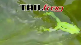 Isca Artificial Soft Monster 3X Tail Frog