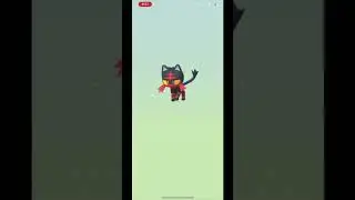 BACK TO BACK SHINY EGG HATCHES IN POKEMON GO