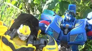 Transformers: Lets give Bumblebee the Good News