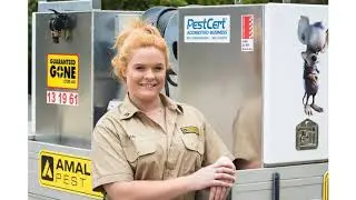 Searching For Best Pest Control in Brisbane? Amalgamated Pest Control Brisbane Got Your Back!