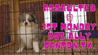 ASSAULTED @ FIRST MONDAY DOG ALLY CANTON, TX.