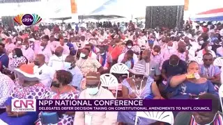 NPP delegates defer decision on constitutional amendments to National Council | Citi Newsroom