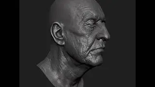 Captain head, from the 