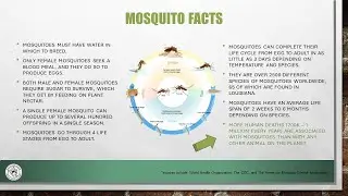 Mosquito Control: What You Need To Know Part 1