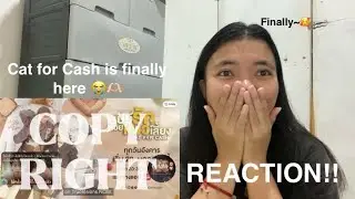 THIS IS SO GOOD!! [Official Trailer] เปย์รักด้วยแมวเลี้ยง Cat For Cash | REACTION!!