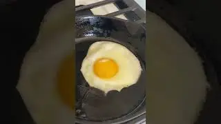 cooking a pigeon egg (april fools)