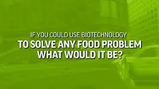 The GMO Innovation Contest