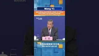 Wang Yi: Spreading pessimistic views on China only ends up harming oneself