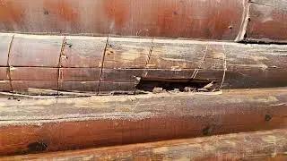 INTEGRITY STAIN/ Reface Log Rot Replace