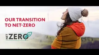 BDO UK: Net-Zero by 2050