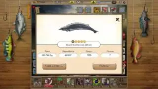 upando de level rap&iacute;do no jogo let's fish