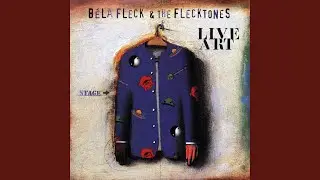 Early Reflection / Bach / The Ballad of Jed Clampett (Live)