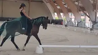 Dressage Club 1 Libre Lamotte 2023