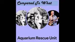 Compared To What /Col. Bruce Hampton and the Aquarium Rescue Unit