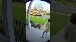 Unbelievable Rescue: Dog Saves Girl from Speeding Car!