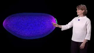 Ruth Lehmann (NYU / HHMI) 2: Establishing Soma-Germline Dichotomy