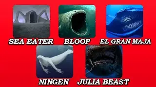5 Terrifying Sea Creatures accident