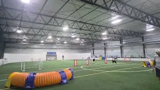 Raven-Snooker cpe agility L5(Oct 3)