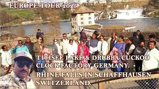 Rhine Falls Switzerland's Hidden Natural Wonder