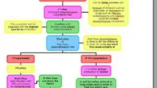USMLE ALGORITHMS: Cushing Syndrome