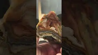 Mesmerizing Mexican Crazy Lace Agate