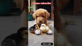 Tiny Hero: Puppy Rescues Lost Chick in the Cutest Way&rdquo; #puppy #rescue #cute