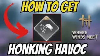How To GET Honking Havoc In Where Winds Meet! [Best Mystic Skill For Solo Play]