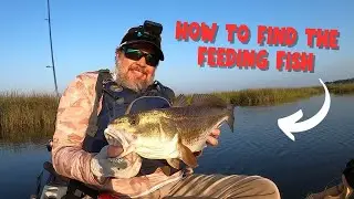 How To Find Feeding Fish [Best Advice For Inshore Saltwater Anglers]
