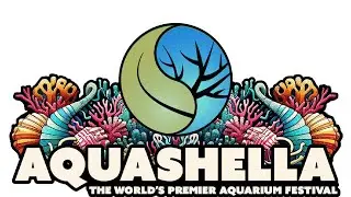 Aquashella Aquarium Festival #corral #aquascape #aquarium #shrimps #plantedtank #marinelife